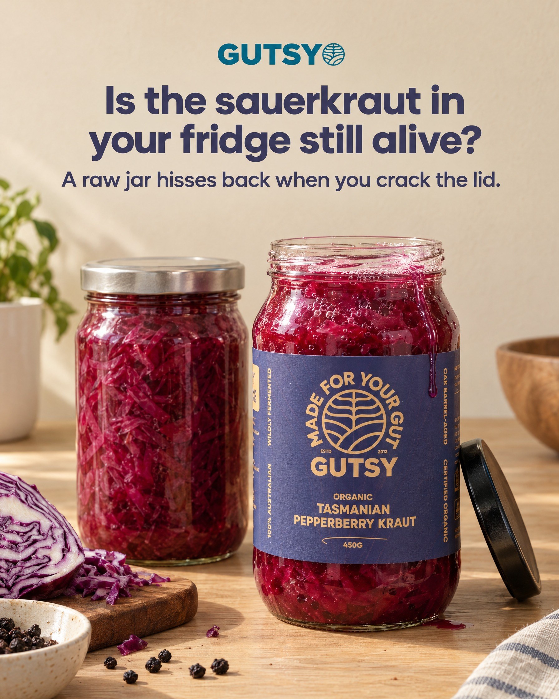 Ad 1 for Gutsy Ferments